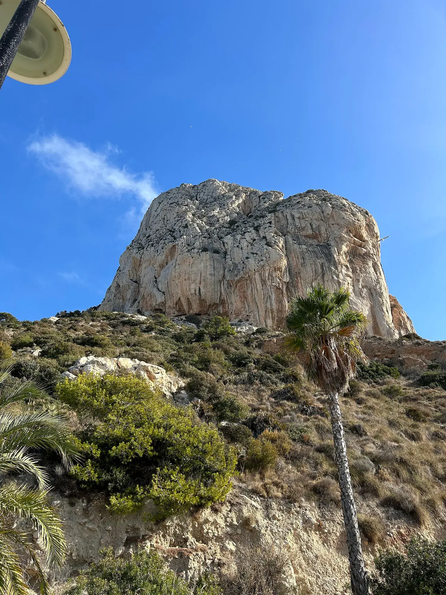 Le Peñón de Ifach vu depuis Calpe entre les palmiers