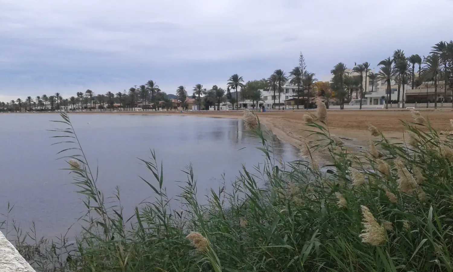 Shore at Mar de Cristal on the Mar Menor, with reeds and houses