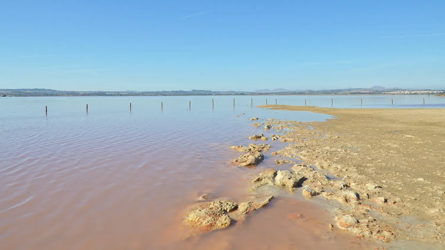Shore of the Torrevieja salt lake with pinkish water and salt rocks
