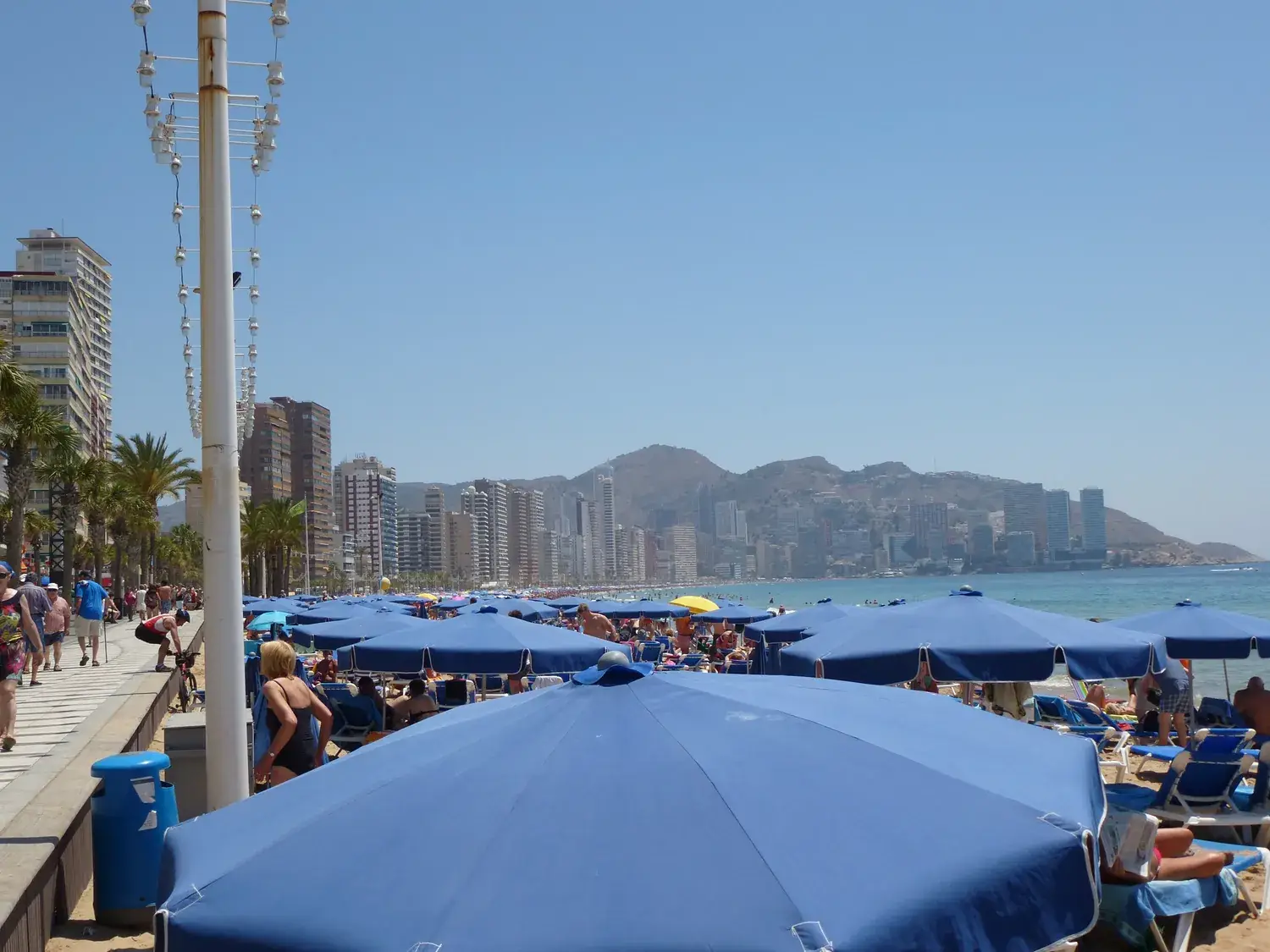 Blue parasols lined up on Benidorm beach with the city behind