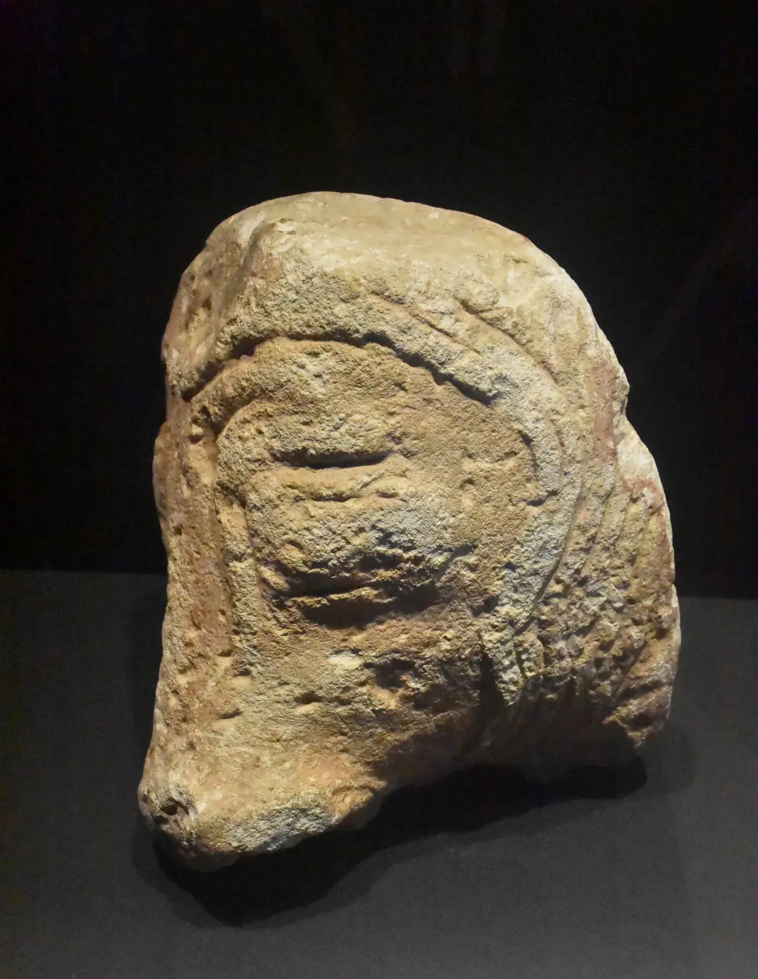 Iberian stone sculpture of a bull’s head on display at the MARQ in Alicante