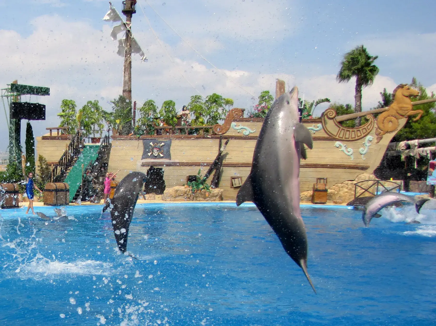 Dolphins leaping out of the water during the Mundomar show, in front of a galleon set