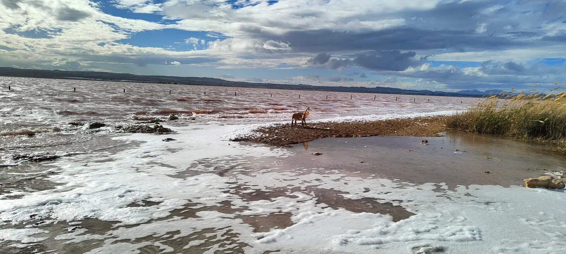 The pink water of the Torrevieja salt lake edged with white salt under a cloudy sky
