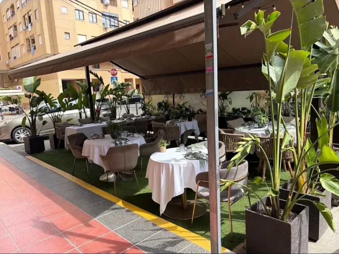 The terrace at Restaurante Luka in Guardamar del Segura, with large green plants, white-clothed tables and armchairs, right by the pavement