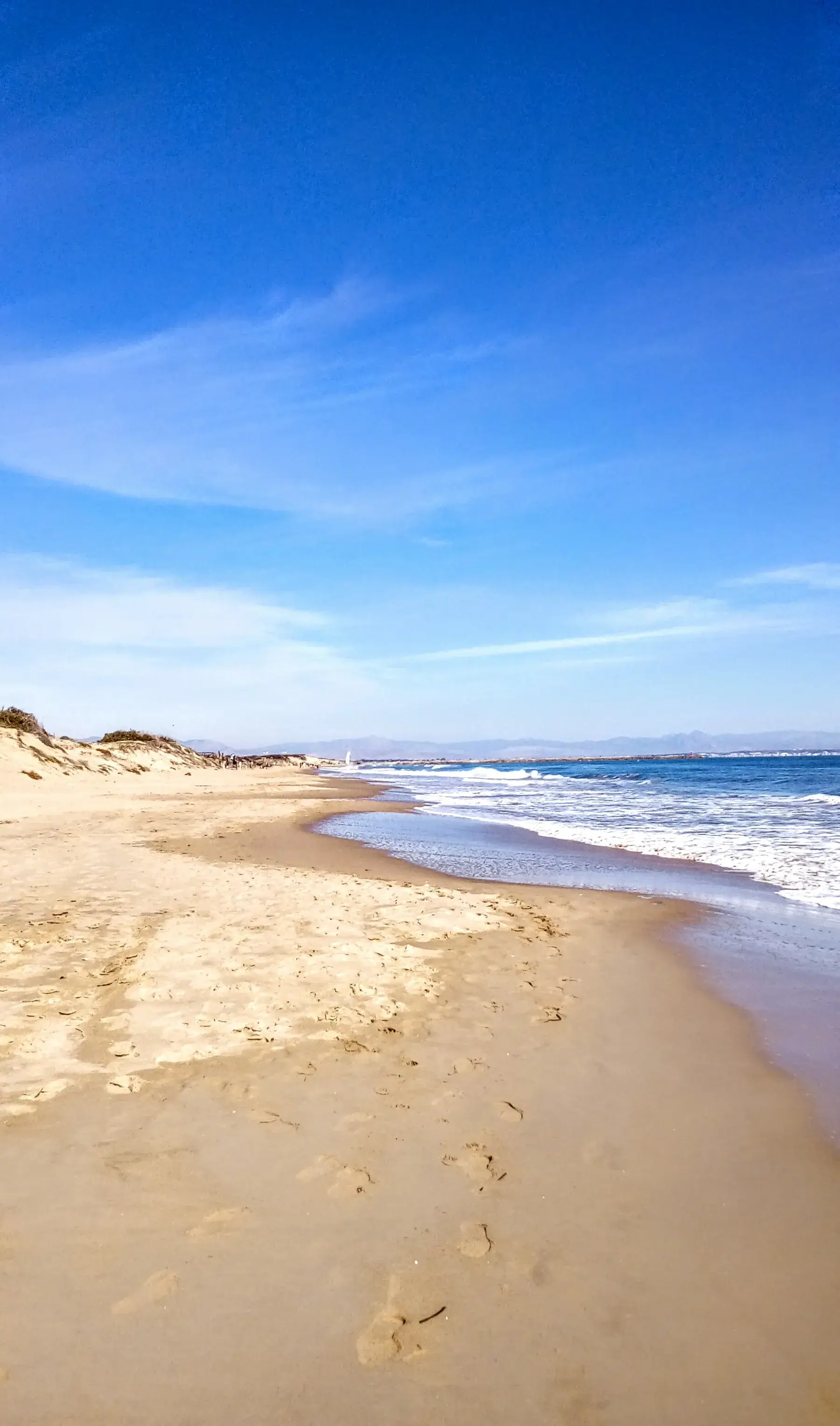 Fine sand dunes and vegetation beside Guardamar beach under a blue sky